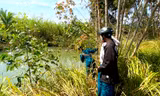 Bé gái bị đuối nước dưới sông Ba, em trai mất tích 