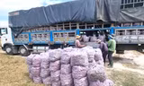 Ký thư mời vận động bán khoai lang: Phó Chủ tịch thị trấn nhận trách nhiệm