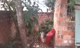 Bàng hoàng phát hiện bé trai sơ sinh đã tử vong trong bao tải