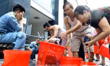 Vụ cung cấp nước nhiễm dầu: Thành phố Hà Nội có trách nhiệm liên đới