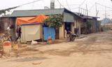Những ngôi nhà xây dựng không phép ở bãi giữa sông Hồng. (Ảnh: Trần Quý)