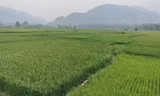 Dòng suối Thia cạn trơ đáy do thủy điện tích nước