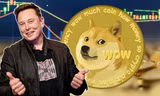 Elon Musk nhiều lần đăng tweet về đồng Dogecoin