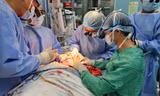 Vừa hút thuốc vừa đốt rẫy, thanh niên nguy kịch vì bị vây trong 'biển lửa'