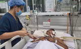 TPHCM: Hơn 4.600 ca mắc sốt xuất huyết, nhiều 'điểm nóng' ngay quận trung tâm