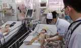 TPHCM: Dấu hiệu cảnh báo trước cái chết từ sốt xuất huyết