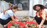 Người dân nhiều tỉnh thành ngày đêm 'gói yêu thương' gửi bà con miền Trung