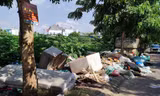 Sản phẩm nhựa khó phân huỷ chủ yếu được sản xuất trong nước