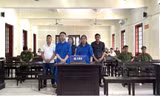 Ông 'trùm' buôn bán trái phép vảy tê tê lĩnh 7 năm tù