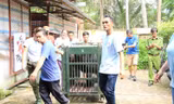 Giải cứu 6 cá thể gấu bị nuôi nhốt lấy mật ở Bình Dương