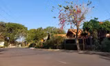 Bừng thức buôn cổ 