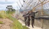 Khu phi quân sự giữa Triều Tiên và Hàn Quốc. (Ảnh: Reuters)