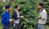 Anh Dũng (thứ 2 phải qua) chia sẻ về mô hình cà phê vườn rừng