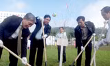140 cây hoa anh đào được trồng tại Quảng Ninh
