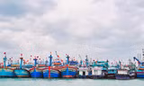 Bình Định sẽ di dời toàn bộ tàu neo đậu tại cảng cá Quy Nhơn về đầm Đề Gi