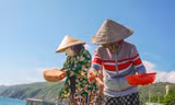 Ngư dân Bình Định hưởng 'lộc biển' cuối năm
