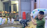 Mưa lớn, người Hà Tĩnh 'trắng đêm' chạy lũ