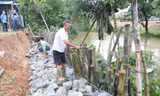 Dân thấp thỏm mỗi ngày vì sông sạt lở 'ăn sâu' vào làng