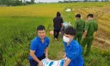 Thanh niên xuống đồng, chỉnh trang đô thị hưởng ứng chiến dịch tình nguyện Hè 