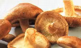 Nấm hương, vị thuốc hay