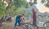 Sơn La thông tin việc hàng tấn cá bị chết 