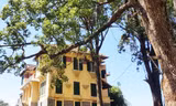 Dinh tỉnh trưởng Đà Lạt