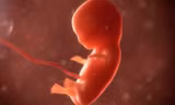 Luật mới của bang Georgia coi thai nhi cũng là con người có đầy đủ quyền pháp lý.