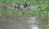 Người nhái tìm kiếm nạn nhân.