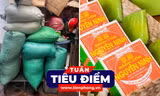 TIÊU ĐIỂM: Sốc với khu sản xuất ứ đọng rác tại cơ sở bánh cốm Nguyên Ninh nổi tiếng hơn 150 năm 