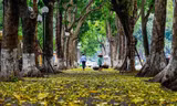 Miền Bắc đón gió mùa, miền Nam tăng mưa