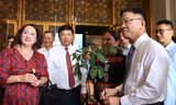 Đưa Quảng Nam thành trung tâm công nghiệp dược liệu của cả nước