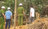 Ngành chức năng kiểm tra và triệt phá một hầm của vàng tặc