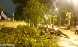 Hà Nội: Gió quật đổ xà cừ cổ thụ chắn ngang đường