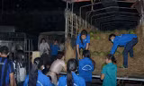 Những bạn tình nguyện viên thức trắng đêm vận chuyển dưa từ trên xe xuống. Ảnh: Thanh Hà.