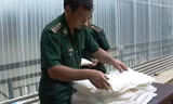 Tang vật thu giữ tại Biên phòng Tà Lùng (Cao Bằng). Ảnh: MT.