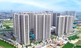  Chung cư quay đầu tăng giá, đất nền chững lại sau tăng 'nóng'