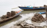 Những vỏ lốp bám đầy con hàu vớt lên từ đầm Lập An trông ghê người.