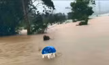 VIDEO: Thừa Thiên Huế ‘choáng váng’ với lũ lên quá nhanh