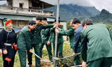Ấm nồng đông lạnh giá