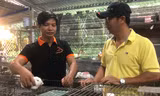 Gác bằng đại học, nuôi thỏ sạch làm giàu 