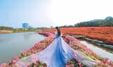 Không gian sinh thái nội đô: Điểm nhấn du lịch Hồ Tây