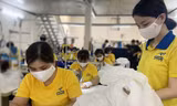 Cty Dony không thể tuyển thêm lao động vì dịch diễn biến phức tạp. Ảnh: U.P 