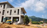Vì sao vi phạm đất rừng Sóc Sơn kéo dài? 