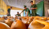 Bắt giữ hơn 1.200 lít dầu D.O không rõ nguồn gốc