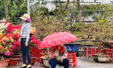 Chợ hoa lớn nhất Quảng Ngãi ế ẩm, tiểu thương co ro trong gió lạnh