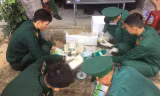 Quảng Ngãi phát hiện bao tải chứa nhiều gói nghi ma túy trôi dạt vào bờ biển