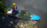 Dọn cá chết nổi trắng trên kênh Nhiêu Lộc