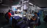 Long An sẽ cấp chứng nhận đầu tư trong 24 giờ?
