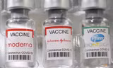 Vắc-xin của các hãng đã được cấp phép ở Mỹ. (Ảnh: Reuters)