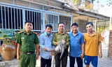 Bắt con khỉ ‘đại náo’ khu dân cư, cắn chết chó ở TPHCM 